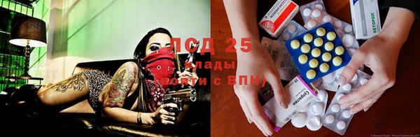 трава Наволоки