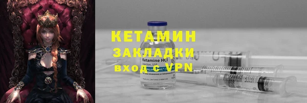 трава Наволоки
