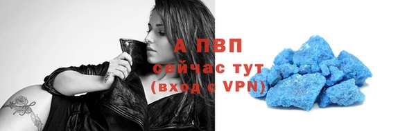 трава Наволоки
