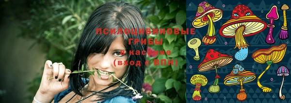 трава Наволоки