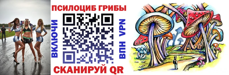 Галлюциногенные грибы Psilocybine cubensis  Купить закладки  Нелидово 